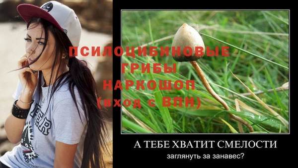 не бодяженный Армянск