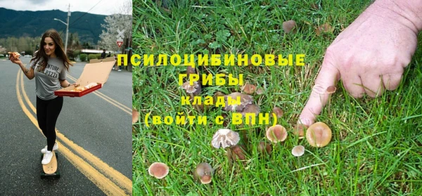 spice Арсеньев
