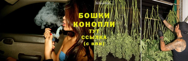 крисы Аркадак