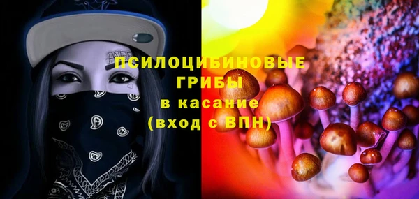 spice Арсеньев
