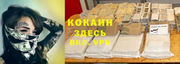 spice Арсеньев